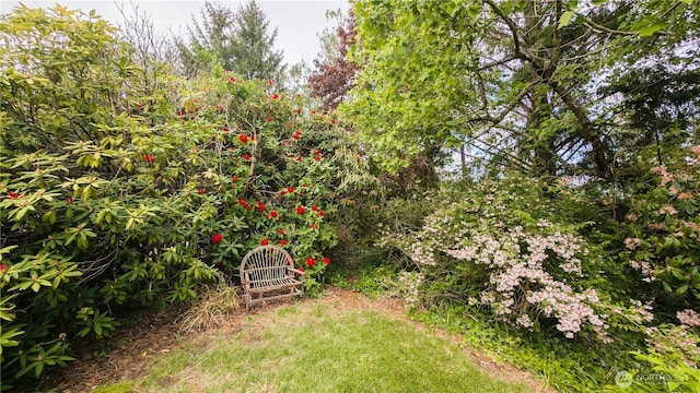 2904 271st St, Ocean Park, WA 98640 - view of yard