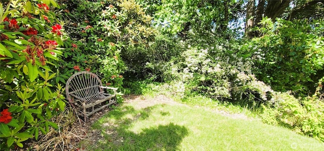 2904 271st St, Ocean Park, WA 98640 - view of yard