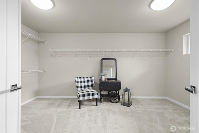 13506 196th Ave SE, Monroe, WA 98272 - spacious closet with carpet