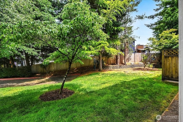 2001 120th Pl SE Unit 3-104, Everett, WA 98208 - view of fenced backyard