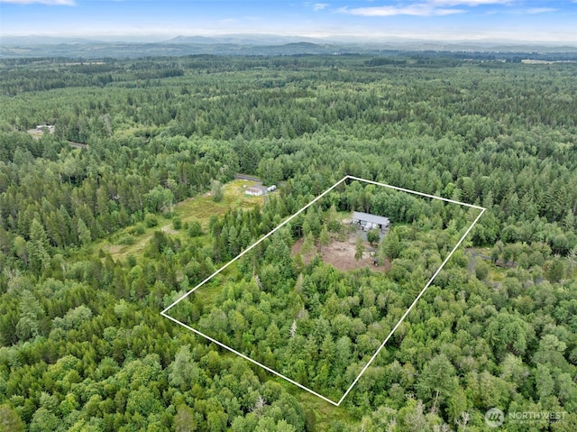 418 Oyler Rd, Ethel, WA 98542 - photo 1