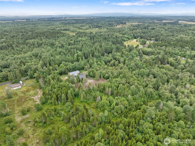 418 Oyler Rd, Ethel, WA 98542 - photo 3