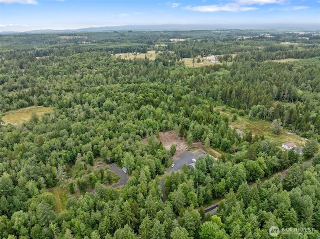 418 Oyler Rd, Ethel, WA 98542 - photo 4