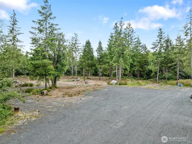418 Oyler Rd, Ethel, WA 98542 - photo 20