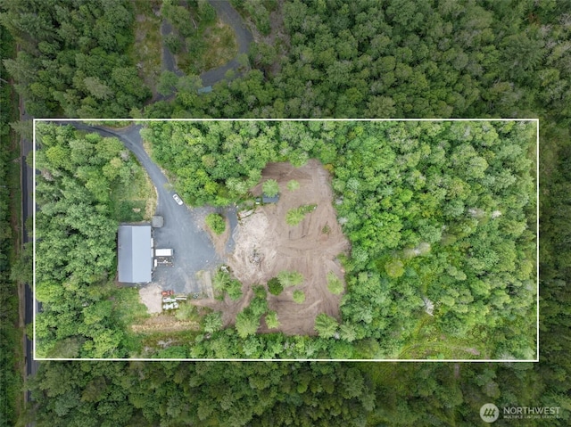 418 Oyler Rd, Ethel, WA 98542 - photo 21