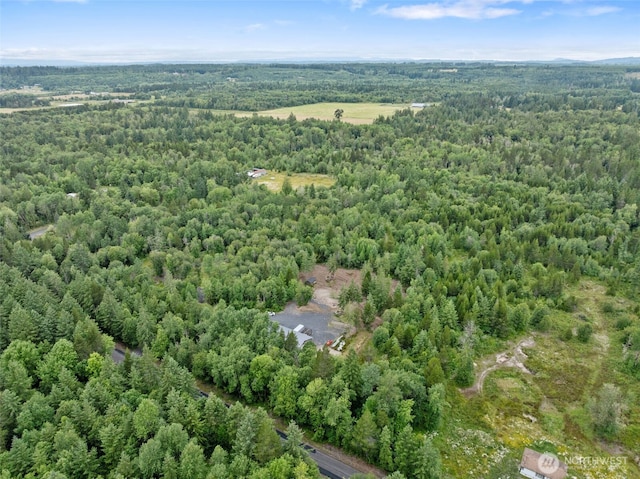 418 Oyler Rd, Ethel, WA 98542 - photo 22