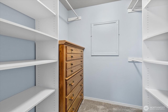 4714 Fairwood Blvd NE Unit 1301, Tacoma, WA 98422 - walk in closet featuring carpet floors