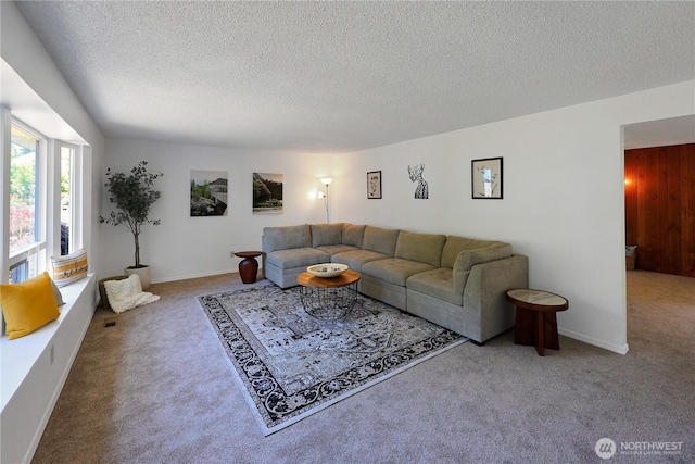 4036 Debbie Ct SE, Olympia, WA 98501 - carpeted living area featuring a textured ceiling