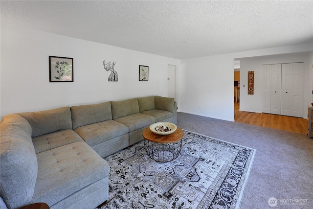 4036 Debbie Ct SE, Olympia, WA 98501 - living room featuring carpet floors and a textured ceiling