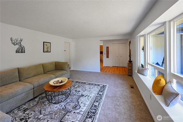 4036 Debbie Ct SE, Olympia, WA 98501 - living room featuring plenty of natural light, a textured ceiling, and carpet floors