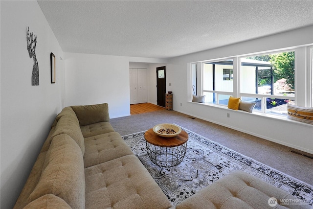 4036 Debbie Ct SE, Olympia, WA 98501 - living area with carpet floors, plenty of natural light, and a textured ceiling