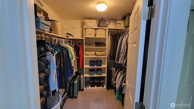 1225 98th Ln SE, Olympia, WA 98501 - walk in closet featuring carpet floors
