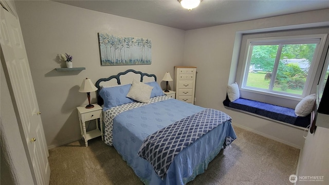 1225 98th Ln SE, Olympia, WA 98501 - bedroom with carpet floors