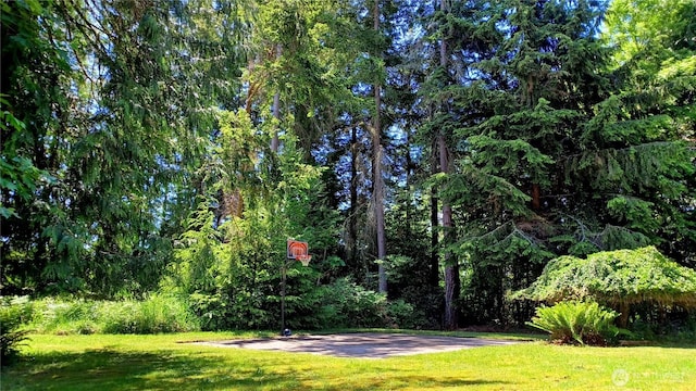 1225 98th Ln SE, Olympia, WA 98501 - view of grassy yard with a view of trees