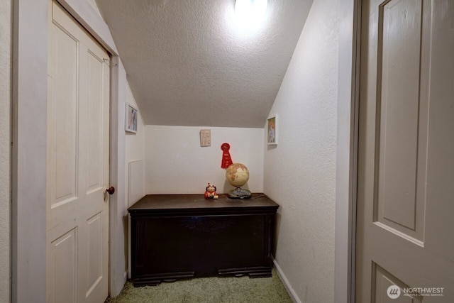 218 SW 15th St, Long Beach, WA 98631 - corridor with a textured ceiling, vaulted ceiling, and carpet