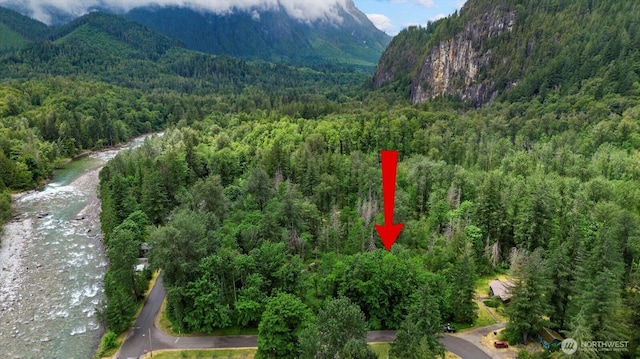 0 Index Ave, Index, WA 98256 - photo 1