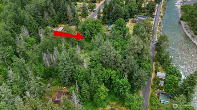 0 Index Ave, Index, WA 98256 - photo 3