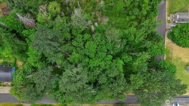 0 Index Ave, Index, WA 98256 - photo 16