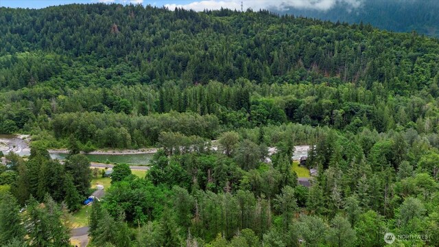 0 Index Ave, Index, WA 98256 - photo 13