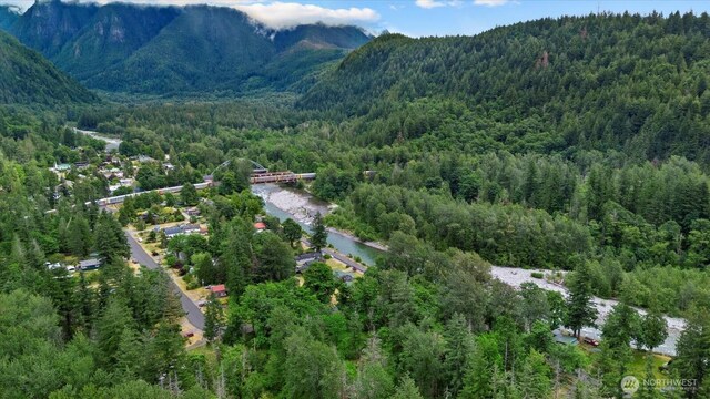 0 Index Ave, Index, WA 98256 - photo 14