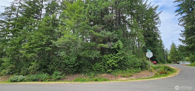 21 E Cromarty Ct, Shelton, WA 98584 - photo 26