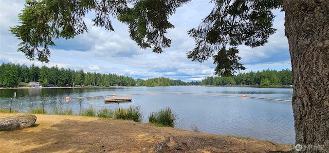 21 E Cromarty Ct, Shelton, WA 98584 - photo 29
