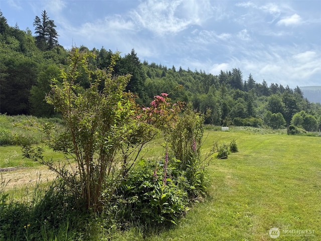 36508 312th Ave SE, Enumclaw, WA 98022 - photo 5