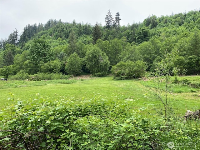 36508 312th Ave SE, Enumclaw, WA 98022 - photo 16