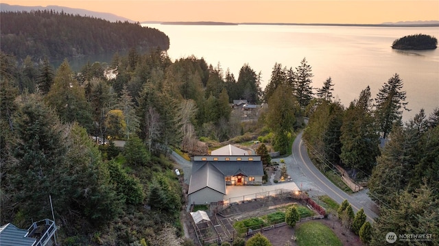 229 Chuckanut Point Rd, Bellingham, WA 98229 - view from above of property with a forest and a nearby body of water