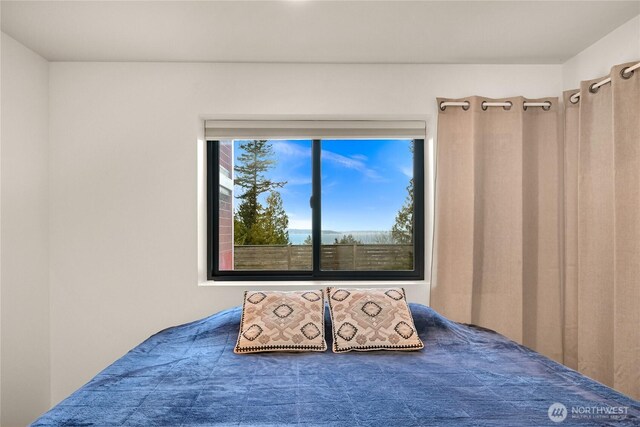229 Chuckanut Point Rd, Bellingham, WA 98229 - view of unfurnished bedroom