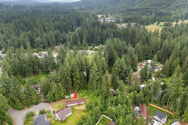 8363 Holly Ln, Maple Falls, WA 98266 - aerial view of property's location featuring a heavily wooded area