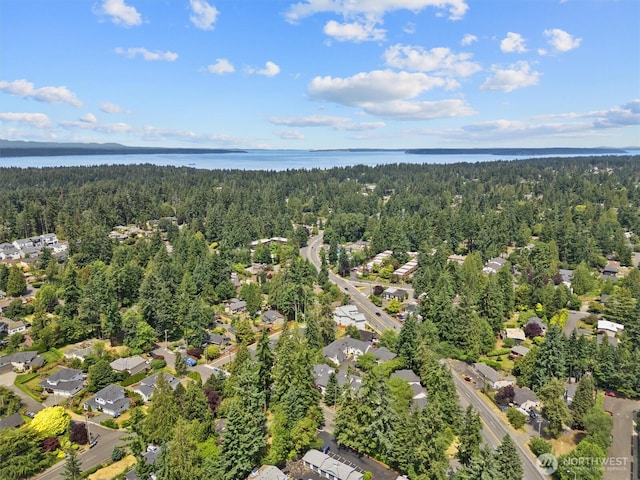 8629 240th St SW Unit B4, Edmonds, WA 98026 - view of property location featuring a forest and a large body of water