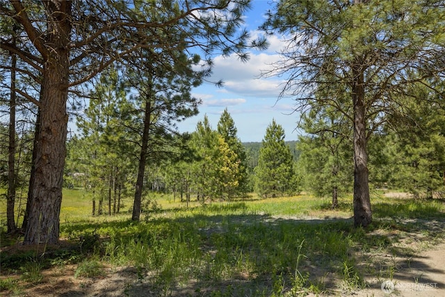 470 Old Grove Trl, Cle Elum, WA 98922 - photo 1
