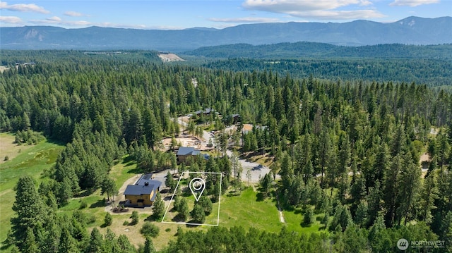 470 Old Grove Trl, Cle Elum, WA 98922 - photo 3