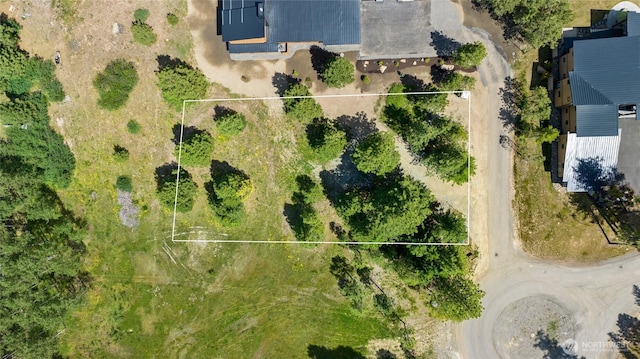 470 Old Grove Trl, Cle Elum, WA 98922 - photo 5