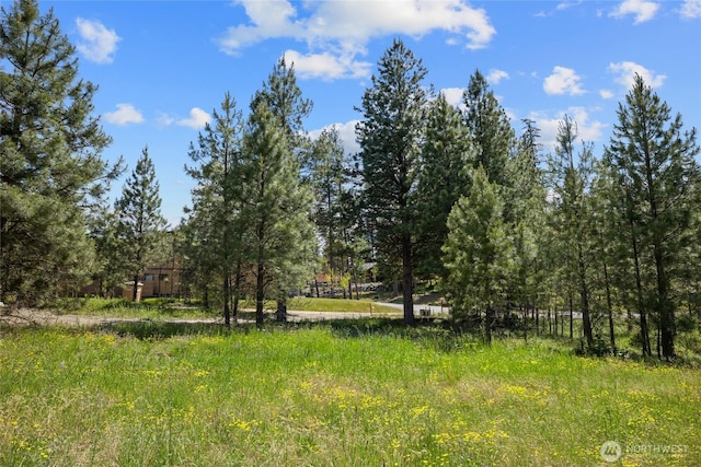 470 Old Grove Trl, Cle Elum, WA 98922 - photo 6