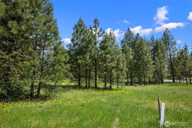 470 Old Grove Trl, Cle Elum, WA 98922 - photo 7