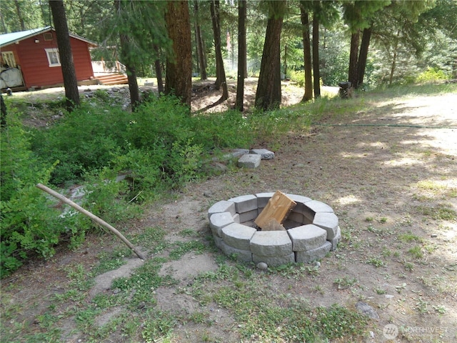 270 W Fork Rd, Conconully, WA 98819 - view of yard with a fire pit