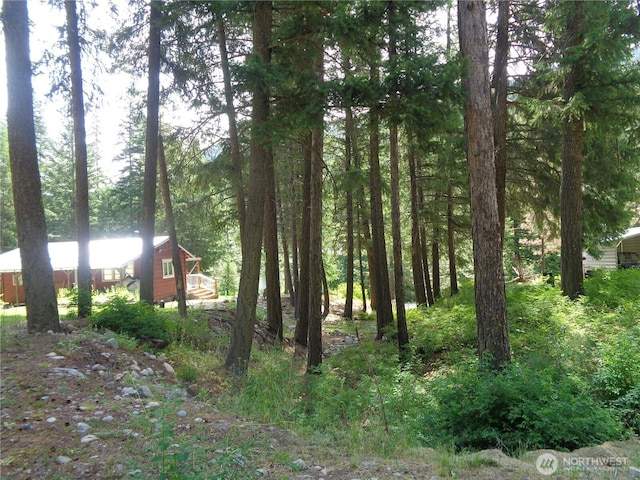 270 W Fork Rd, Conconully, WA 98819 - view of yard with a forest view