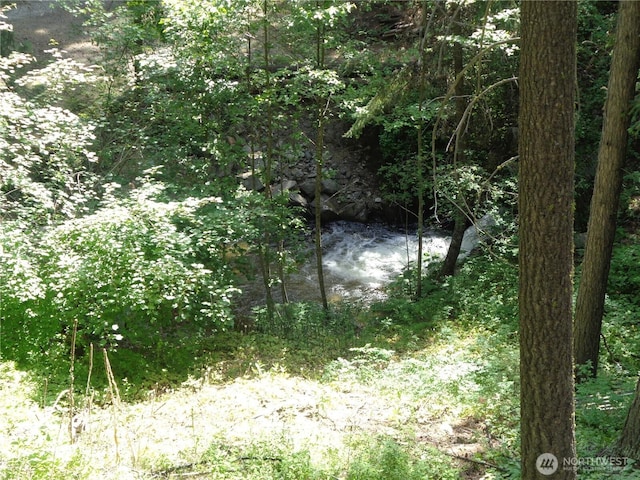 270 W Fork Rd, Conconully, WA 98819 - view of undeveloped land