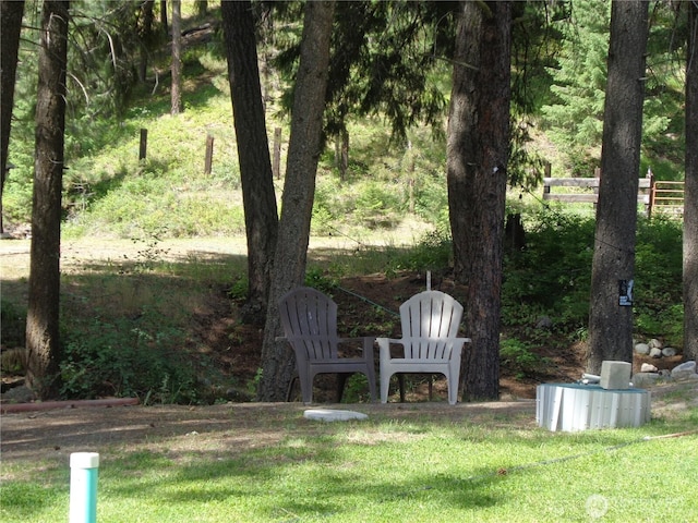 270 W Fork Rd, Conconully, WA 98819 - view of yard