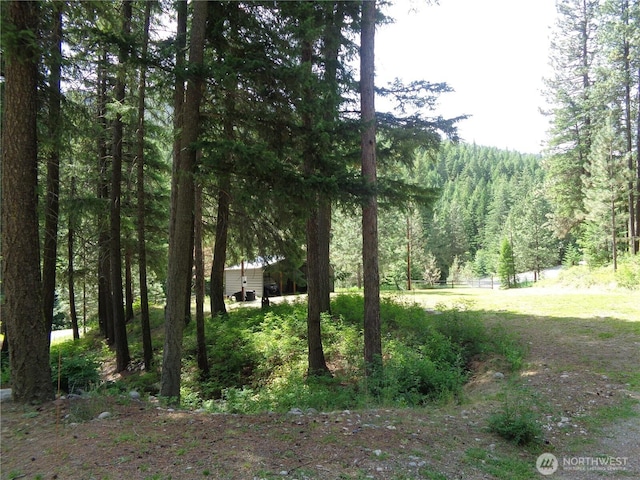 270 W Fork Rd, Conconully, WA 98819 - view of yard with a wooded view
