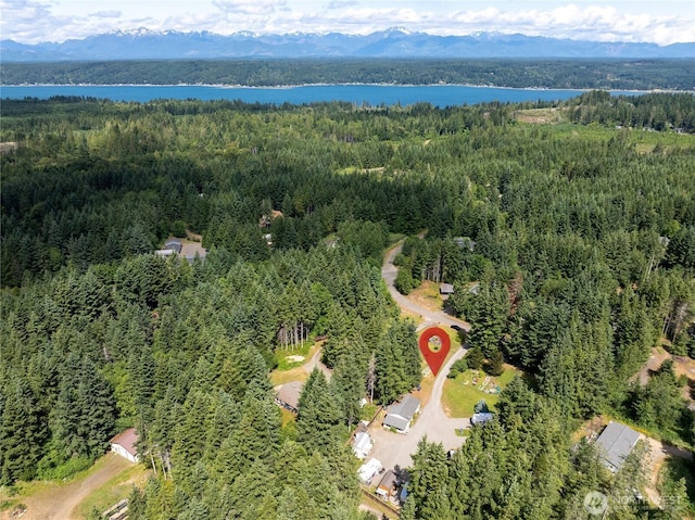 30 E Richardson Rd, Belfair, WA 98528 - aerial view of property and surrounding area with a water and mountain view