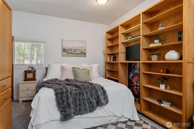 30 E Richardson Rd, Belfair, WA 98528 - view of carpeted bedroom