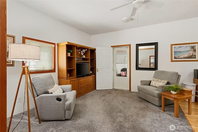 30 E Richardson Rd, Belfair, WA 98528 - living area featuring ceiling fan and carpet