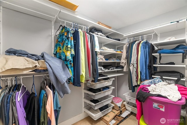 25 N Broadway Unit 207, Tacoma, WA 98403 - spacious closet featuring carpet floors
