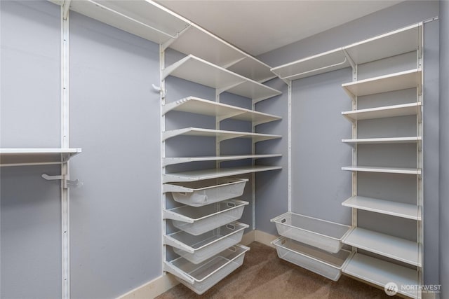 25 N Broadway Unit 207, Tacoma, WA 98403 - walk in closet featuring carpet flooring