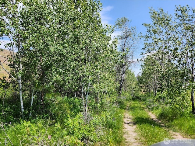 0 Roundabout Rd, Tonasket, WA 98859