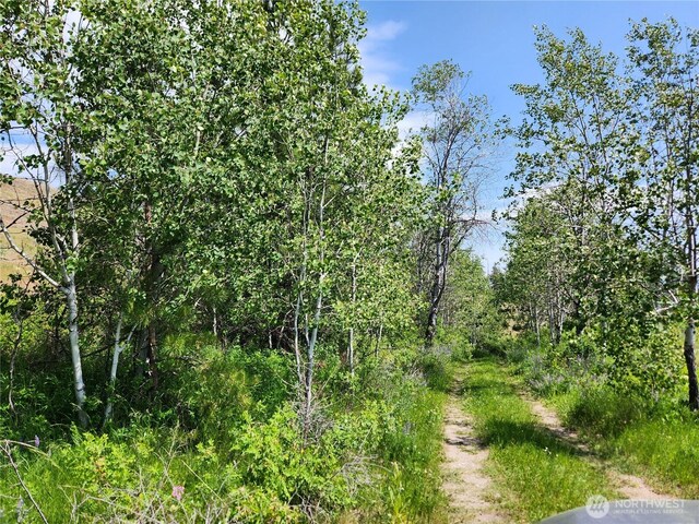 0 Roundabout Rd, Tonasket, WA 98859 - photo 1