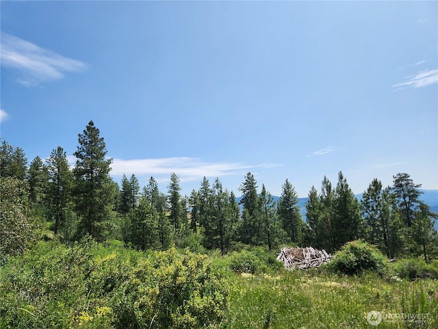 0 Roundabout Rd, Tonasket, WA 98859